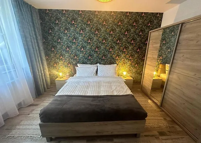 Newlevel Studio Brasov