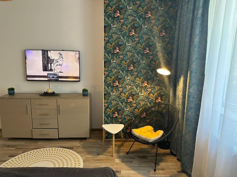 Newlevel * Braşov